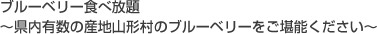ブルーベリー食べ放題。～県内有数の産地山形村のブルーベリーをご堪能ください。